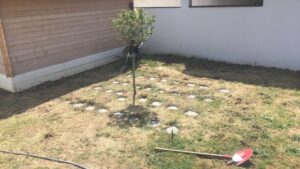 creation-dependance-abris-de-jardin-5